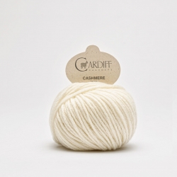Cardiff large 501